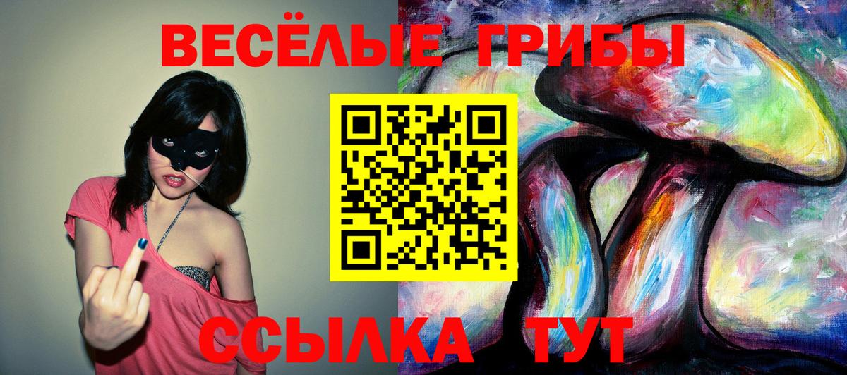 купить закладку  Галлюциногенные грибы прущие грибы  Вход с VPN  Петровск  Псилоцибиновые грибы Cubensis 